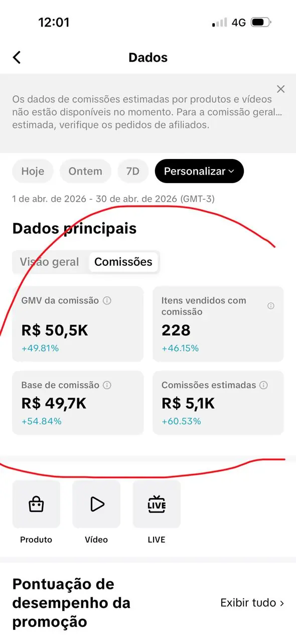 Print do painel de comissões da Marciane